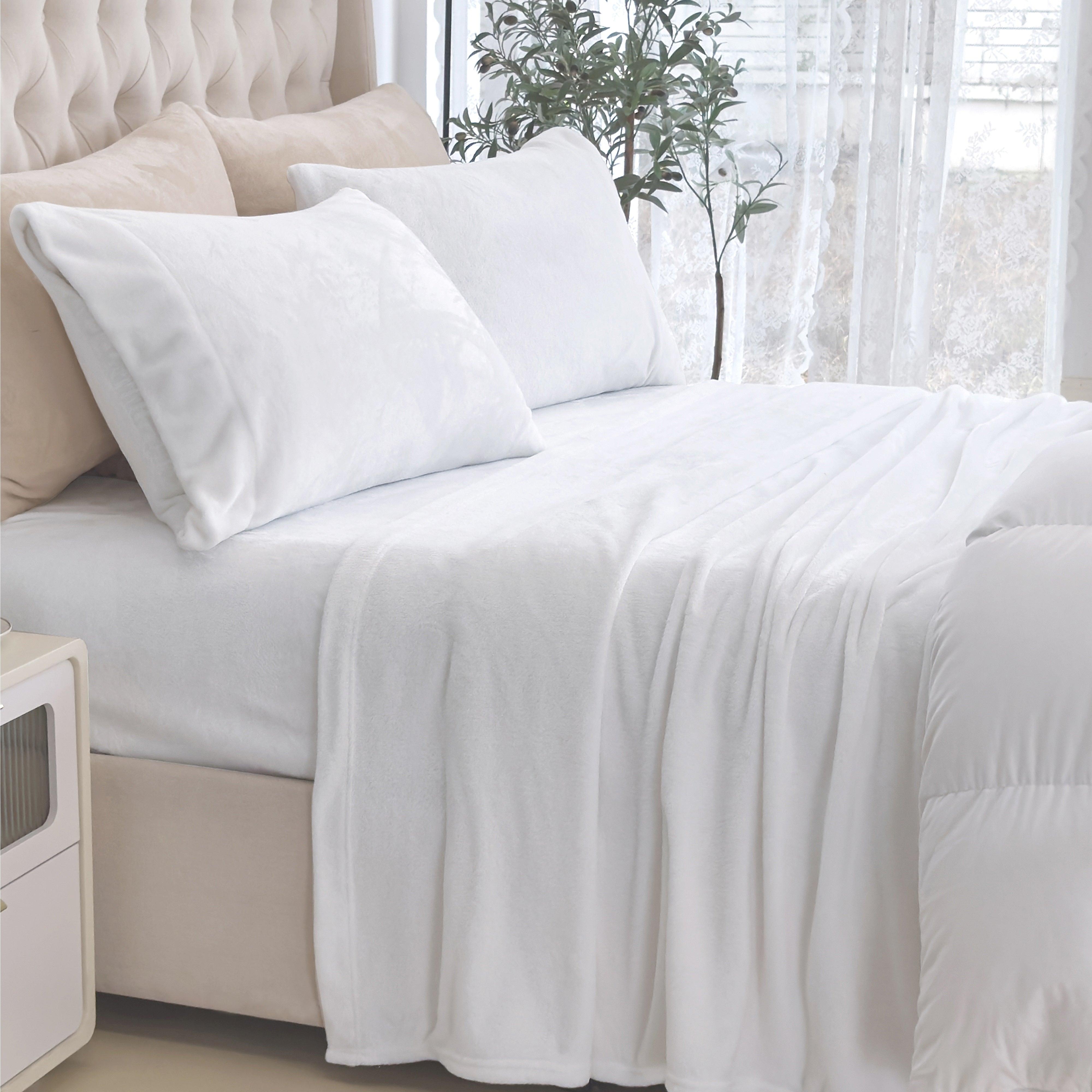 Everlaneas 4-Piece Velvet Plush Flannel Sheet Set